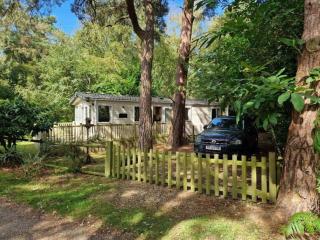 No 161, Kelling Heath - Woodlands and Pets Welcome - 0