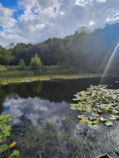 Fawn Lodge, Kelling Heath - Woodland Setting and Pets Welcome - Kelling - 4
