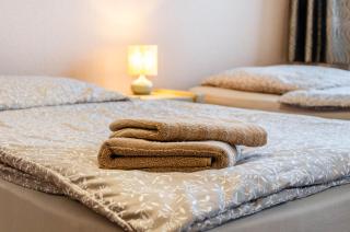 Alte Gärtnerei Fewo Veronika - 6