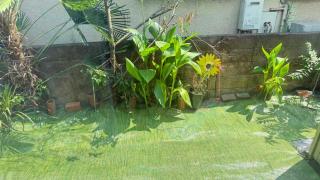 aiki house - 8