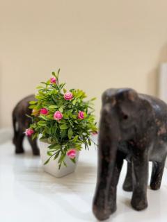 Elite Hostel- A Stay For Working Professional,Solo Traveller - 1