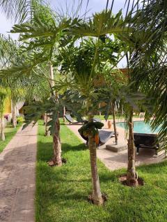Riad Safran Ralya - 1