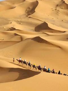 fayou desert camp - 8