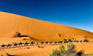 fayou desert camp - 9