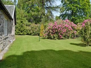 Ladybird Cottage - 1