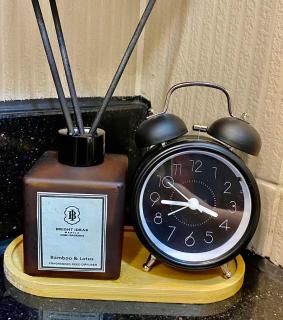 BRAND NEW HOTEL-INSPIRED Fern at Grass ResidencesT5 - Manila - 3