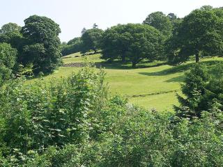 Howarth Cottage - Troutbeck Bridge - 5
