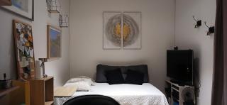 Studio 20m2 climatisation reversible 3 pers 2 animaux - 4