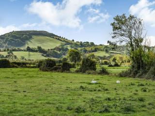 Horseshoe Cottage-Uk37360 - 6