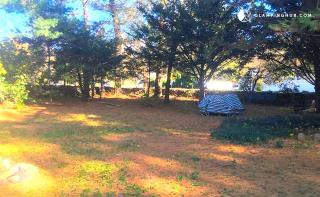 Peaceful and Pet-Friendly Cottage Rental on Picturesque Country Estate near Black Rock State Park, Connecticut - 9