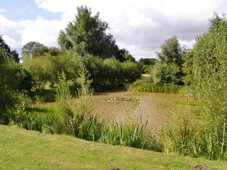 The Cottage - B4014 - 5