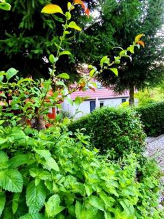 Przystanek Spokój - Nowe Siodło Sudety Środkowe - 9