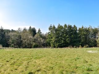 Old Highwood - Piglet Cottage - 2