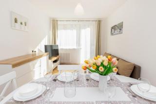 Bright Apartment Nevada with Balcony in Gdansk by Noclegi Renters - 8