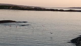 Sea breeze house - 9