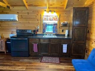 Gopher Wood Getaway Cabin at Siloam Valley NEAR Ark Encounter - 3