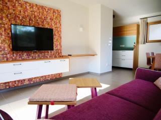 Felsenegg appartement 3 - VIOLA - 7