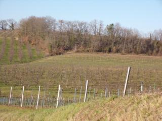 La Grange - 8