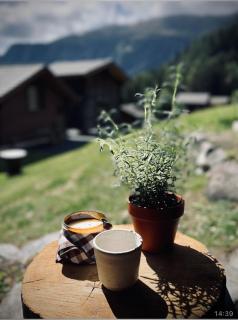 Chalet with panoramic view - 1