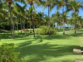 Anse des Rochers, Studio LA KAZA DES COCOTIERS - Saint-François - 4