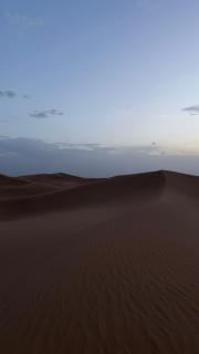 Door sahara - 4