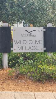 Pine&olive guest house - 6