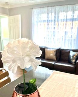 Near the Beach 3Bedroom Apartment WIFI Modern & Spacious Sleeps 6 - 8