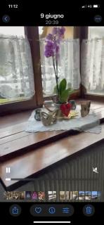 Marty & Matti house - 6