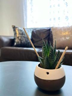 Near the Beach 3Bedroom Apartment WIFI Modern & Spacious Sleeps 6 - 1