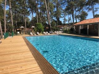 SUPERBE CHALET sous les pins - 9