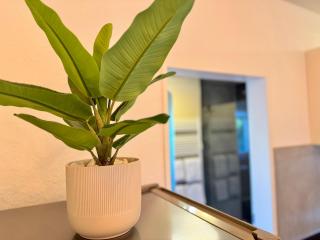 Garden Gallery - Boutique Apartment - 3