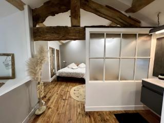 Les Hirondelles du Marais - 8