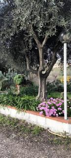 Villa Cristina - 5