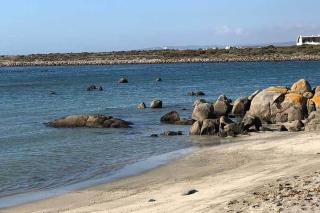 West Coast Shores - 9
