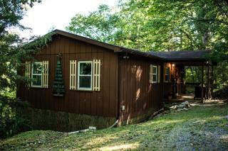 Cozy Forest Escape with Porch and AC - 9