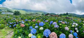 รักเขาอินทนนท์โฮมสเตย์ Doi inthanon Homestay - 9
