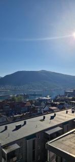 Green oasis in the heart of Tromsø - 1