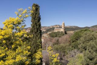 Fiore Di Vita - 3
