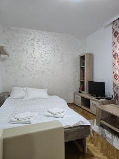 Apartman Stefanovic - Vrnjačka Banja - 7