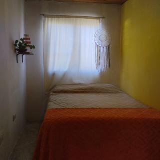 Los patos - 4