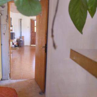 Los patos - 3