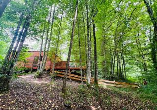 Chalet des Oies, private spa - 0