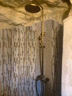 The Cygnet at the 'Songbird Sanctuary' - 8