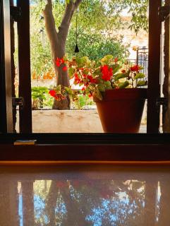 Armiriki Seafront House - 6