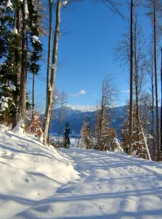 Ferienwohnung BergTime - 0