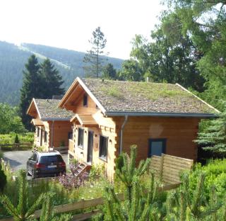 Harz - Blockhaus mit Sauna und Kamin, Comfort -"Hütte" - 4