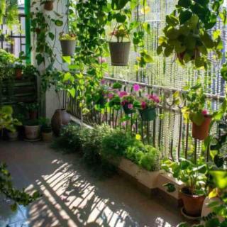 Iraitrails Resort - 4