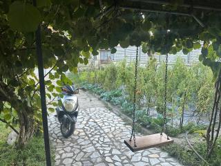 Apartment with big yard and garden - 9