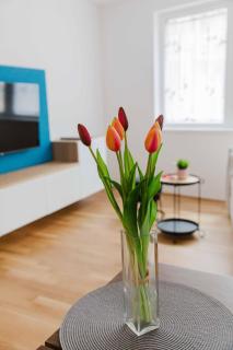 Vienna Apartment Poppy - 4