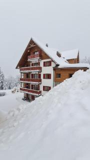 Luxury apartments Prežin - 9